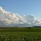 Caledonia Clouds