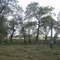 My Back Yard