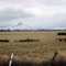 Rocky Mountain Foothills, near Choteau, Montana