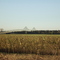 Mississippi bridge at Cairo (IL)