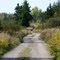 If this road could talk, what stories would we hear?