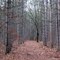 Pine Bowl Pathway Trailhead