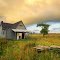 Abandoned on 11 Mile Road