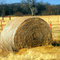 Country side
