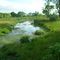 down stream from artesian well