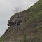 Mountaineer
