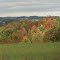 Fall colors