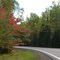 Fall Colors