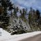 Gunflint Trail