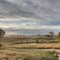 Iowa Landscape