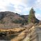 Approaching Troy, Or