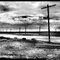 Poles / Southern Salton Sea