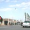 "Beautification" in the desert - Freshly plante palms in Calipatria a "nowhere town" south of the Salton Sea.