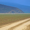 California Agriculture ...08.04.07