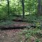 log crossing