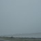 Snowstorm in the Flatlands