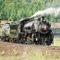 Grand Canyon Railway in Williams, AZ