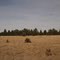 Views from the Grand Canyon Railway