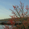 KLT Boston Pond