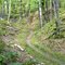 Michigan Tech Trails: Bobsled Loop (S Curves)