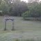 Horn Springs Road Lebanon TN Ragan Amanda Colt Deer