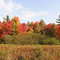 fall color at Fort Mc Coy WI. near Sparta just a short ways south off St Hwy 21 in south camp