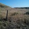 Scully Ridge in Chino Hills State Park