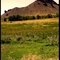 Castle Rock