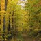 September 2006 Fall Trail