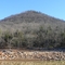 Potato Hill