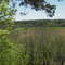 country view