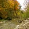 Smith Creek Color