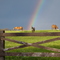 3 miles south of Ashland - Rainbow