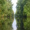 Reflections