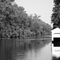 Dismal Swamp Trail view