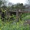 Pedestrian bridge