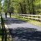 Rail Trail in Brewster