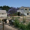 This is where we live