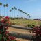 Pumpkin Patch, Encinitas, CA