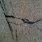 Cracked Foundation 827 Saxony Rd  Encinitas, CA 92024 (inside)