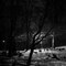 Cemetery At Night, South Charleston, WV