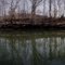 Elk River, West Virginia Winter Panorama