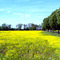 Springtime in Mississippi