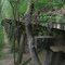 Duck River RR Bridge