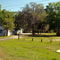 2009 Florida Along Hwy "SE 19"
