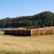 Fort