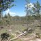 DSC07395  Panoramic E view