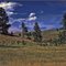 Gentle Hills