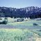 The Carroll Ranch Homestead - 2 JUL 1953