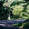 121 Elliot Circle
